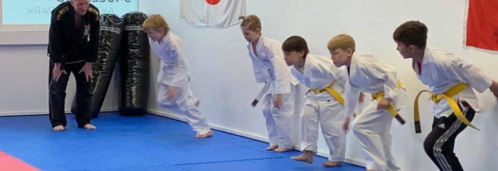 Oppstart Ju Jitsu barn - Påmelding